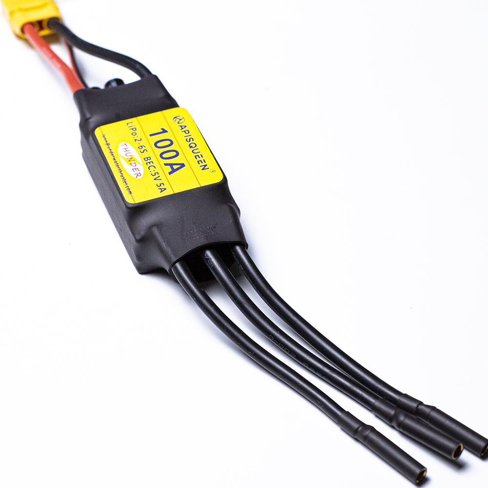 ApisQueen underwater 100A Brus - Rc Boat Brushless Motor reseña y precio